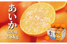 【先行予約】 【12月から順次発送】 家庭用 愛果28号 約2.8kg（ご家庭用）| 紅まどんな と同一品種 みかん ミカン 蜜柑 果物 くだもの フルーツ 高級 贈答 ギフト 贈り物 柑橘 柑橘類 かんきつ 愛媛果試第28号 常温 国産 愛媛 愛媛県 松山市