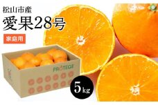 【愛果28号】約5kg（ご家庭用）＜2023年12月～1月頭＞ （ 愛媛産 愛媛県産 国産 愛媛みかん 愛媛蜜柑 愛媛ミカン みかん ミカン mikan 蜜柑 柑橘 フルーツ 果物 くだもの お取り寄せ 産地直送 数量限定 人気 おすすめ 愛媛県 松山市 送料無料 ）