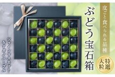 【2025収穫分先行予約】 シャインマスカット ぶどう 大粒 特選 ぶどう宝石箱 ギフト ナガノパープル 約 600g 18粒 ずつ 1箱 36粒 新着 人気 予約 フルーツ くだもの マスカット ぶどう 早朝 収穫 朝採れ ギフト 贈答 期間限定 2025年発送 先行予約 ※8/20頃～発送予定 ナチュラルファームｅｎ