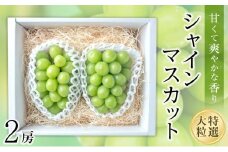 【2025収穫分先行予約】 シャインマスカット 2房 約 1.1kg 新着 人気 予約 フルーツ くだもの マスカット ぶどう 早朝 収穫 朝採れ ギフト 贈答 期間限定 2025年発送 先行予約 ※8/20頃～発送予定 ナチュラルファームｅｎ