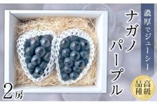 【2025収穫分先行予約】 ぶどう ナガノパープル 2房 約 1.1kg 新着 人気 予約 フルーツ くだもの マスカット ぶどう 早朝 収穫 朝採れ ギフト 贈答 期間限定 2025年発送 先行予約 ※8/10頃～発送予定 ナチュラルファームｅｎ