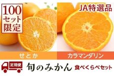 【先行受付】 JAえひめ中央 ★50セット限定★JA特選品 ブランド柑橘（せとか・カラマンダリン）食べ比べセット 2回定期便 (1)せとか3kg（赤秀L～3Lサイズ）(2)カラマンダリン5kg（秀品S～2L）