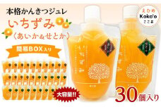かんきつジュレ「いちずみ」バラエティセット＜あいか＆せとか入り＞　３０個入り | ゼリー 柑橘ゼリー 柑橘ジュレ みかん スイーツ 温州みかん あいか 愛果28号 せとか 清見 デコポン 美生柑 伊予柑 はるみ 愛媛県 松山市 ココオ Koko'o