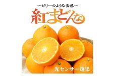 【先行予約】【2025年11月下旬頃順次発送】 紅まどんな 約3kg（8~15玉）4L～Lサイズ 紅まどんな 愛媛 みかん 紅マドンナ 紅まどんな 蜜柑 柑橘 果物 松山市の紅まどんな 贈答 愛媛のみかん くだもの フルーツ 愛媛県 松山市 JAえひめ中央の紅まどんな 愛媛が誇る高級柑橘『紅まどんな』 愛媛の紅まどんな