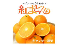 【先行予約】【2025年11月下旬頃順次発送】 紅まどんな 約3kg（8~15玉）4L～Lサイズ  みかん ミカン 蜜柑 果物 くだもの フルーツ 高級 贈答 ギフト 贈り物 柑橘 柑橘類 かんきつ 愛媛果試第28号 愛果28号 常温 国産 愛媛 愛媛県 松山市