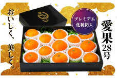 【早期予約受付中！2025年12月～順次発送】プレミアム【愛果28号】 化粧箱入 愛媛 松山 ギフト 贈答 プレゼント みかん 先行予約 蜜柑 柑橘 果物 くだもの フルーツ お取り寄せ グルメ 期間限定 数量限定 人気 おすすめ 愛媛県 松山市