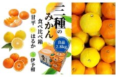 【三種のみかん食べ比べ箱】甘平・はるか・宮内伊予柑 （良品）約2.8kg ＜2025年2月頃発送＞ 愛媛 松山 みかん 詰め合わせ 先行予約 蜜柑 柑橘 果物 くだもの フルーツ お取り寄せ グルメ 期間限定 数量限定 人気 おすすめ 愛媛県 松山市