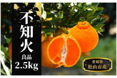 【不知火】良品 約 2.5 kg ＜2026年2月末～4月頭頃発送＞ 愛媛 松山 みかん 先行予約 蜜柑 柑橘 果物 くだもの フルーツ お取り寄せ グルメ 期間限定 数量限定 人気 おすすめ 愛媛県 松山市
