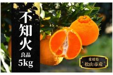 【不知火】良品 約 5kg　＜2026年2月末～4月頭頃発送＞愛媛 松山 みかん 先行予約 蜜柑 柑橘 果物 くだもの フルーツ お取り寄せ グルメ 期間限定 数量限定 人気 おすすめ 愛媛県 松山市