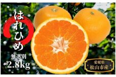 【先行予約】 みかん はれひめ 無選別 約2.8kg 12月～1月頭頃発送  | 愛媛 みかん 先行予約 蜜柑 柑橘 果物 くだもの フルーツ お取り寄せ グルメ 期間限定 数量限定 人気 おすすめ 愛媛県 松山市 