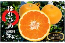 【先行予約】はれひめ 無選別 約5kg 12月～1月頭頃発送 | 愛媛産 愛媛県産 国産 愛媛みかん 愛媛蜜柑 愛媛ミカン みかん ミカン mikan 蜜柑 柑橘 フルーツ 果物 くだもの お取り寄せ 産地直送 数量限定 人気 おすすめ 愛媛県 松山市 送料無料