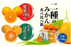 【早期予約受付中！2025年12月～順次発送】二種のみかん食べ比べ箱　愛果28号・はれひめ(良品) 約2.8kg （ 愛果28号 まどんな 柑橘 みかん 果物 くだもの フルーツ おすすめ 高級 人気 お取り寄せ グルメ ギフト 期間限定 数量限定 ご当地 愛媛県 松山市 ）