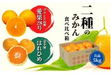 【早期予約受付中！2024年12月～順次発送】二種のみかん食べ比べ箱　愛果28号・はれひめ(良品) 約 5kg