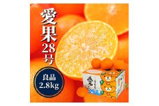 【早期予約受付中！2025年12月～順次発送】【愛果28号】約 2.8kg (良品) 愛媛県産 みかん 蜜柑 オレンジ 柑橘 果物 フルーツ お取り寄せ おすすめ 愛媛県 松山市