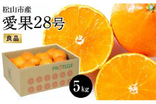 【愛果28号】約5kg（良品）＜11月下旬から順次発送＞ |先行予約 愛果28号 まどんな 柑橘 みかん 果物 くだもの フルーツ おすすめ 高級 人気 お取り寄せ グルメ ギフト 期間限定 数量限定 ご当地 愛媛県 松山市