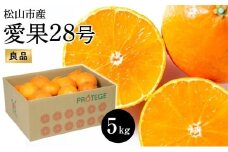 【愛果28号】約5kg（良品）＜11月下旬から順次発送＞ |先行予約 愛果28号 まどんな 柑橘 みかん 果物 くだもの フルーツ おすすめ 高級 人気 お取り寄せ グルメ ギフト 期間限定 数量限定 ご当地 愛媛県 松山市
