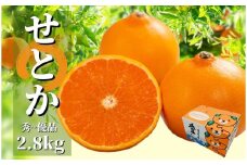 【せとか】秀~優品 約 2.8kg ＜2026年2月~3月頃発送＞ 食べくらべ 愛媛 みかん 先行予約 蜜柑 柑橘 果物 くだもの フルーツ お取り寄せ グルメ 期間限定 数量限定 人気 おすすめ 愛媛県 松山市