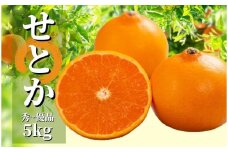 【せとか】秀~優品 約 5kg ＜2026年2月~3月頃発送＞ 愛媛 松山 みかん 先行予約 蜜柑 柑橘 果物 くだもの フルーツ お取り寄せ グルメ 期間限定 数量限定 人気 おすすめ 愛媛県 松山市