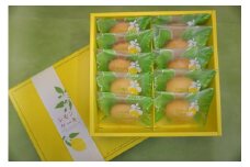 瀬戸内産レモンケーキ　【プレーン】 レモン ケーキ デザート スイーツ お菓子 焼き菓子 焼菓子 愛媛県 松山市