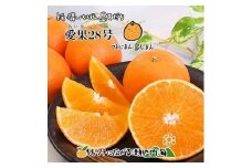 【12月中頃から順次発送予定】 希望の島 愛果28号 家庭用 約3kg |愛媛 松山 みかん ミカン mikan  果物 フルーツ 柑橘 果実 先行予約 中島産 柑橘 ジューシー 愛媛県 松山市