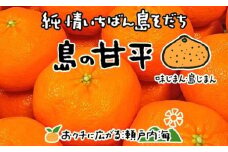 【2026年2月中旬から発送予定】希望の島 甘平(かんぺい) 家庭用 約3kg 愛媛 中島産 おすすめ人気  愛媛県産 みかん 柑橘 かんぺい カンペイ 愛媛県産甘平 家庭用かんぺい 中島産甘平 ミカン 柑橘 甘平 オススメの甘平 中島産の甘平 柑橘 みかん ミカン 甘平 家庭用甘平