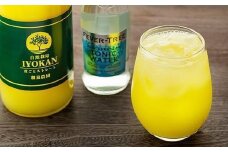 みかんジュース 100％ 宮内伊予柑 720ml×2本 皮ごとストレートトニックウォーター200ml×2本 セット | ジュース 果汁100％ ストレート いよかんジュース 果汁100％ ジュース みかん ジュース 100％ ストレート みかん 蜜柑 mikan ノンアルコール ジュース みかんじゅーす みかんジュースお酒 愛媛県 松山市