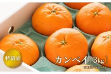 【2月より発送】 先行予約 特級品 カンペイ 甘平 3kg みかん 柑橘 果物 フルーツ 松山市 愛媛県