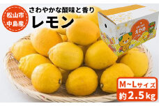 【11月上旬から発送】 中島産 レモン M～Lサイズ 2.5kg （ 先行予約 愛媛 レモン 柑橘 果物 くだもの フルーツ お取り寄せ グルメ 期間限定 数量限定 人気 おすすめ 愛媛県 松山市 フジ・アグリフーズ ）