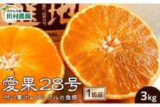 【先行予約12月上旬から発送】【1級品】愛果28号 3kg | 12月発送 紅まどんな と同品種 みかん 柑橘 愛果28号 みかん あいか 果物 フルーツ 松山市 愛媛県 田村農園