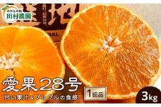 【先行予約12月上旬から発送】【1級品】愛果28号 3kg | 12月発送 紅まどんな と同品種 みかん 柑橘 愛果28号 みかん あいか 果物 フルーツ 松山市 愛媛県 田村農園