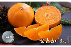 【2月下旬より発送】 せとか 3kg 【1級品】| 柑橘 みかん せとか 果物 愛媛県 松山市 田村農園 