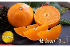【2月下旬より発送】 せとか 3kg 【特級品】 みかん 柑橘 果物 フルーツ 松山市 愛媛県 おすすめ人気