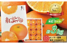 【11月下旬ごろから順次発送】紅まどんな 約3キロ (9～15玉入り) 化粧箱入り  みかん ミカン 蜜柑 果物 くだもの フルーツ 高級 贈答 ギフト 贈り物 柑橘 柑橘類 かんきつ 愛媛果試第28号 愛果28号 常温 国産 愛媛 愛媛県 松山市