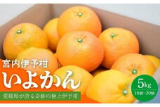 【先行予約 2026年1月中旬から発送予定】 いよかん 宮内伊予柑 5kg 2025年度 みかん 5kg みかん 愛媛 みかん 松山 みかん 農家直送 みかん 不揃い いよかん 家庭用 柑橘 愛媛 松山 北条 果物 フルーツ 産地直送 みかん 農園直送 