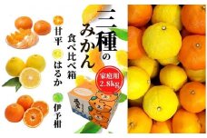 【三種のみかん食べ比べ箱】甘平・はるか・宮内伊予柑 （家庭用）約2.8kg　＜2025年2月頃発送＞ 食べくらべ 愛媛 みかん 詰め合わせ セット 先行予約 蜜柑 柑橘 果物 くだもの フルーツ お取り寄せ グルメ 期間限定 数量限定 人気 おすすめ 愛媛県 松山市