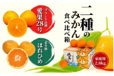 【早期予約受付中！2025年12月～順次発送】二種のみかん食べ比べ箱　愛果28号・はれひめ(家庭用) 約 2.8kg 食べくらべ 愛媛 みかん 詰め合わせ 先行予約 蜜柑 柑橘 果物 くだもの フルーツ お取り寄せ グルメ 期間限定 数量限定 人気 おすすめ 愛媛県 松山市