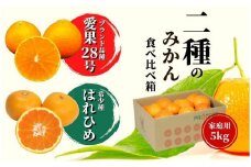 【早期予約受付中！2024年12月～順次発送】二種のみかん食べ比べ箱　愛果28号・はれひめ(家庭用) 約 5kg 食べくらべ 愛媛 みかん 詰め合わせ 先行予約 蜜柑 柑橘 果物 くだもの フルーツ お取り寄せ グルメ 期間限定 数量限定 人気 おすすめ 愛媛県 松山市