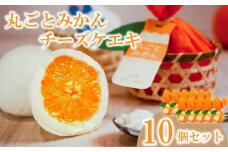 丸ごとみかんチーズケエキ 10個セット チーズケーキ お菓子 スイーツ おやつ ケーキ チーズケーキ スイーツ ケーキ チーズケーキ 道後 愛媛県 松山市
