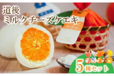 道後ミルクチーズケエキ 5種セット チーズケーキ お菓子 スイーツ おやつ ケーキ チーズケーキ スイーツ ケーキ チーズケーキ 道後 愛媛県 松山市