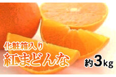 【先行予約】【12月中旬頃から順次発送】化粧箱入り 紅まどんな 約3kg (L～4L)  みかん 紅まどんな 柑橘 紅まどんな みかん 紅まどんな 高級柑橘 紅まどんな マドンナ