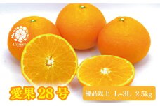 【2025年12月上旬から発送】愛果28号 優品以上 L～3L玉 2.5kg あいか | 愛媛 みかん 先行予約 紅まどんな 紅マドンナ と同品種 蜜柑 柑橘 果物 くだもの フルーツ お取り寄せ グルメ 期間限定 数量限定 人気 おすすめ 愛媛県 松山市