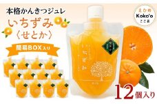 本格かんきつジュレ「いちずみ」＜せとか＞　12個入り（簡易BOX入り） | ゼリー 柑橘ゼリー 柑橘ジュレ みかん スイーツ せとか 愛媛県 松山市 ココオ Koko'o