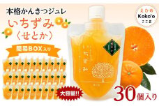 本格かんきつジュレ「いちずみ」＜せとか＞　30個入り（簡易BOX入り） | ゼリー 柑橘ゼリー 柑橘ジュレ みかん スイーツ せとか 愛媛県 松山市 ココオ Koko'o