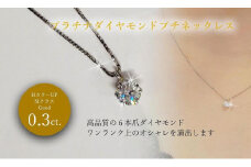 Pt ダイヤ0.3ｃｔ ペンダントネックレス アクセサリー ネックレス ジュエリー ネックレス プラチナ【JP0691_x】