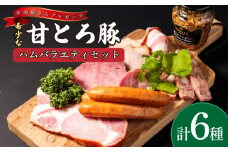 希少な甘とろ豚のハムバラエティ6種セット | ハム ウィンナー ソーセージ 肉 お肉 豚 豚肉 贈答 国産豚肉 ギフト 贈り物 お取り寄せ お取り寄せグルメ 食べ比べ 贈答品 愛媛県 愛媛 松山市