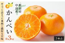 【みかん】かんぺい２級品 愛媛 3kg 贈答 ギフト 果物 フルーツ 松山 甘平 2月発送