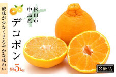 【みかん】デコポン 愛媛 5kg 贈答 ギフト 果物 フルーツ 松山 2月発送 3月発送