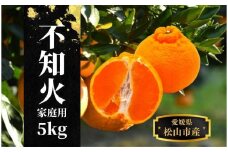 【不知火】家庭用 約 5kg ＜2026年2月末～4月頭頃発送＞愛媛 松山 みかん 先行予約 蜜柑 柑橘 果物 くだもの フルーツ お取り寄せ グルメ 期間限定 数量限定 人気 おすすめ 愛媛県 松山市