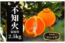 【不知火】家庭用 約 2.5kg ＜2026年2月末～4月頭頃発送＞ 愛媛 松山 みかん 先行予約 蜜柑 柑橘 果物 くだもの フルーツ お取り寄せ グルメ 期間限定 数量限定 人気 おすすめ 愛媛県 松山市