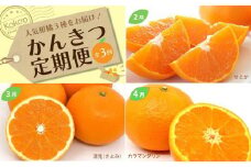 定期便 全3回(2～4月配送) 先行予約 春かんきつ定期便 家庭用 優品 | せとか きよみ カラマンダリン みかん 松山市 愛媛県 定期便 お楽しみ 旬 フルーツ 果物 定期便 果物 頒布会 松山おすすめ